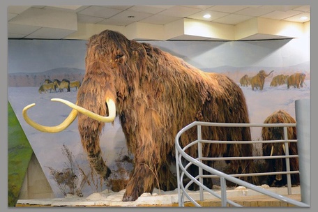 Обзорная экскурсия по городу Якутску.
1 день: 24 марта 2026 г. 